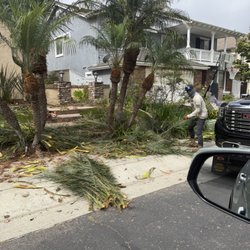 Zion Lawn Care & Maintenance
