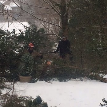 Big Foot Tree Service - Tree Services Near Me - Wayne, New Jersey