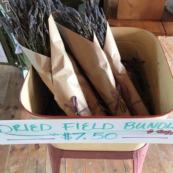 Purple Haze Lavender Farm - Dried lavender - Flowers & Gifts Near Me - Sequim, Washington Purple Haze Lavender Farm - Dried lavender - Flowers & Gifts Near Me - Sequim, Washington