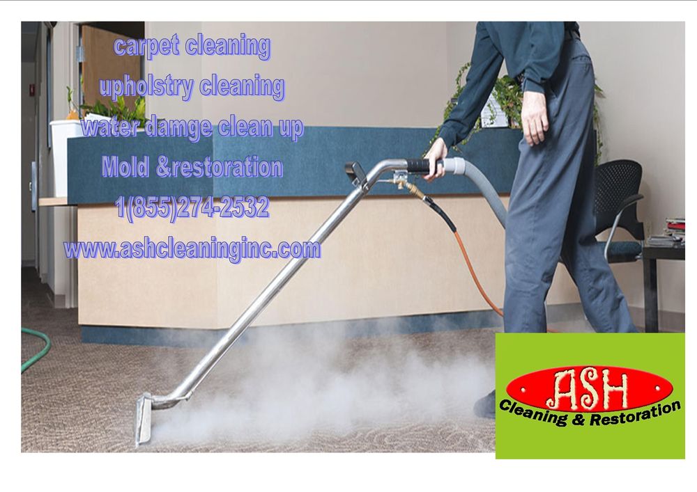 ASH CARPET CLEANING & RESTORATION Updated July 2024 124 Photos