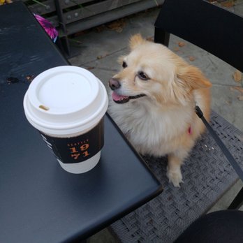 Starbucks - Coffee & Tea Near Me - Marysville, California