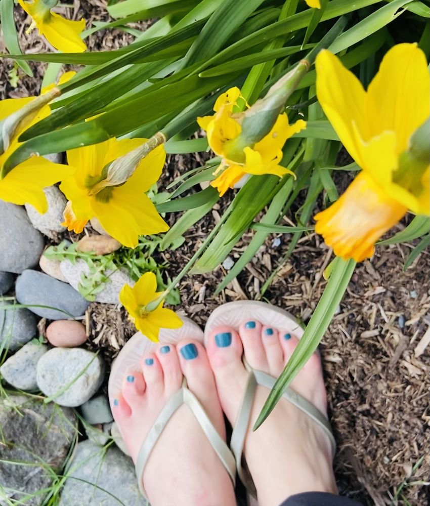 RED HOT NAILS AND SPA Updated August 2024 12 Photos & 44 Reviews 166 Bjune Dr SW