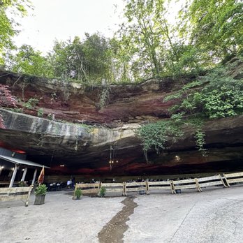 Rattlesnake Saloon - Bars Near Me - Tuscumbia, Alabama Rattlesnake Saloon - Bars Near Me - Tuscumbia, Alabama
