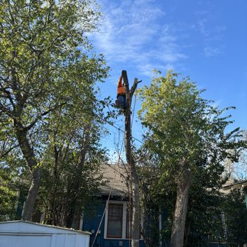 Bairon'e Perez Trees Service - No tarde más - Fences & Gates Near Me - Cedar Creek, Texas Bairon'e Perez Trees Service - No tarde más - Fences & Gates Near Me - Cedar Creek, Texas