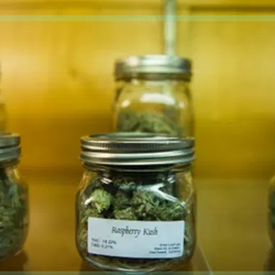 THC Canada