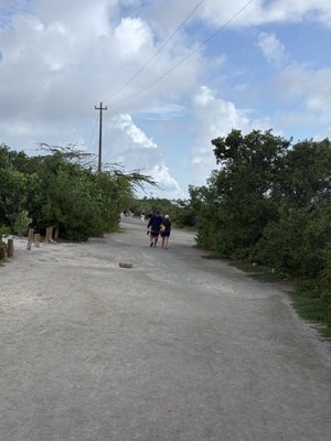 Playa Sucia by null