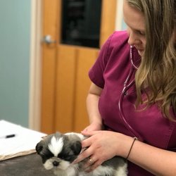 Village Way Veterinary