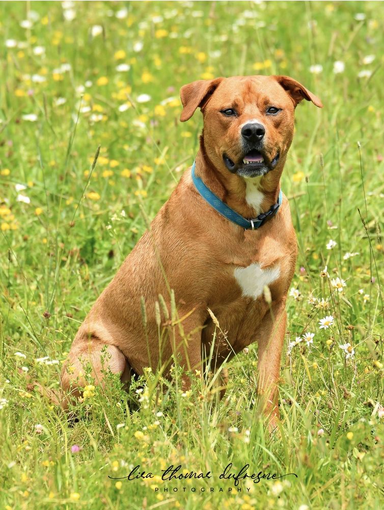 COLGATE LAKE Updated September 2024 11 Reviews 466 County Rd 78