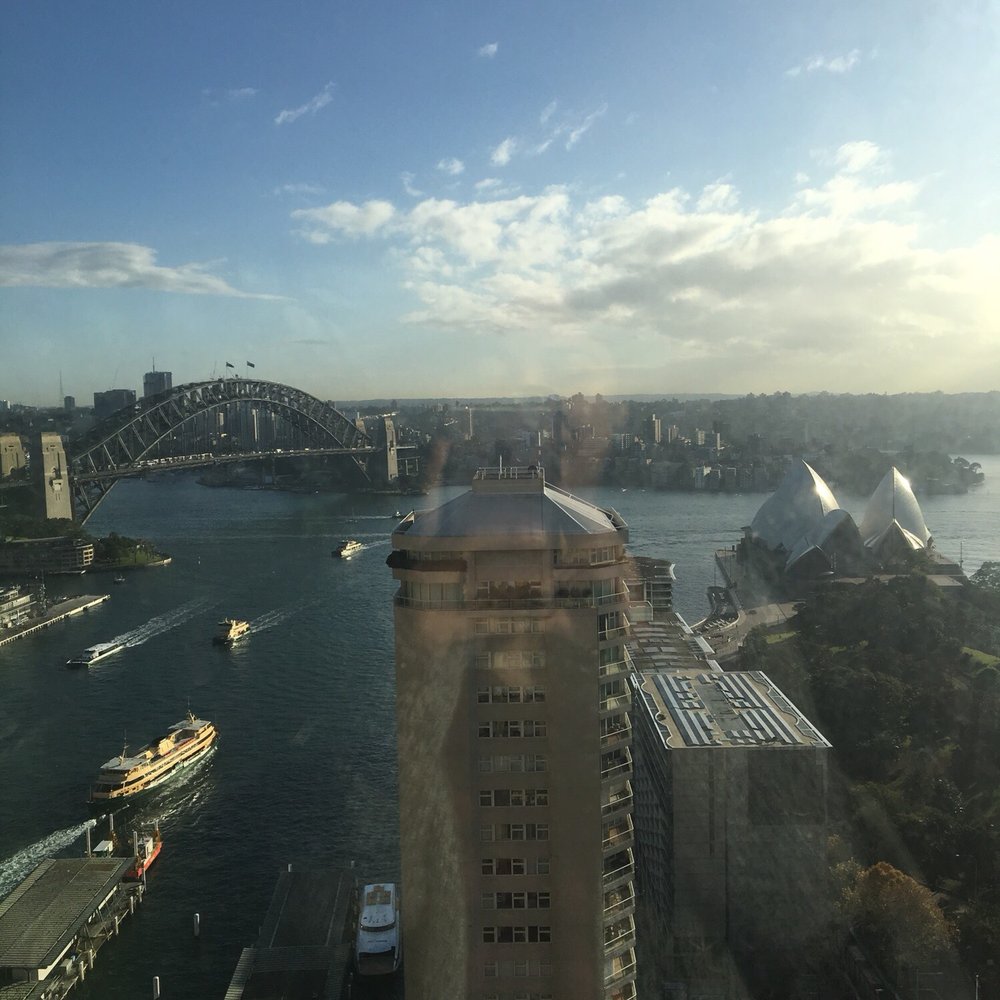 View from the pool