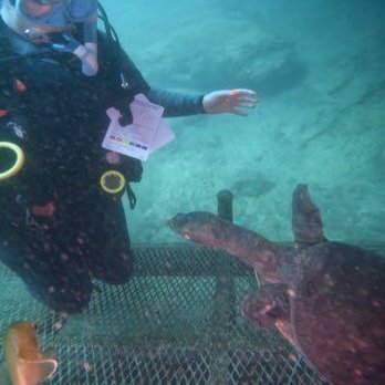 Atlantic Pro Divers - Scuba Diving Near Me - Jacksonville Beach, Florida