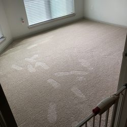 WilTek Carpet Cleaning - Bed room