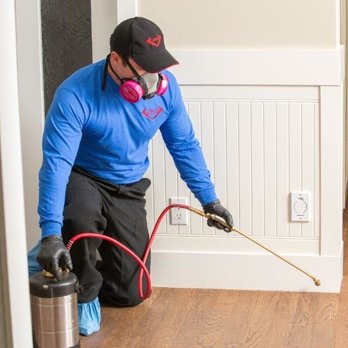 Japco Pest Control - Pest Control Near Me - Edmonton, Alberta Japco Pest Control - Pest Control Near Me - Edmonton, Alberta
