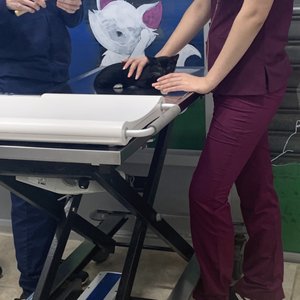 INWOOD ANIMAL CLINIC - 241 Photos & 170 Reviews - Veterinarians - 4846