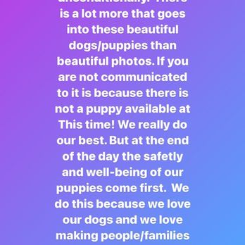 WillowWay Doodles - telling her customers to find a new breeder. - Pet Breeders Near Me WillowWay Doodles - telling her customers to find a new breeder. - Pet Breeders Near Me