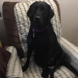 Kimber