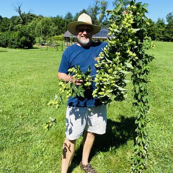 Twisted Oak Farm Brewery - Jay with our Cascade hops - Breweries Near Me - White Post, Virginia