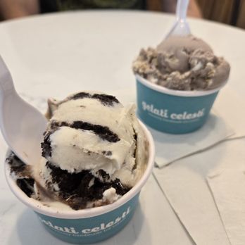 Gelati Celesti - Panda (June special, front) & Dino Tracks - Ice Cream & Frozen Yogurt Near Me - Chesapeake, Virginia