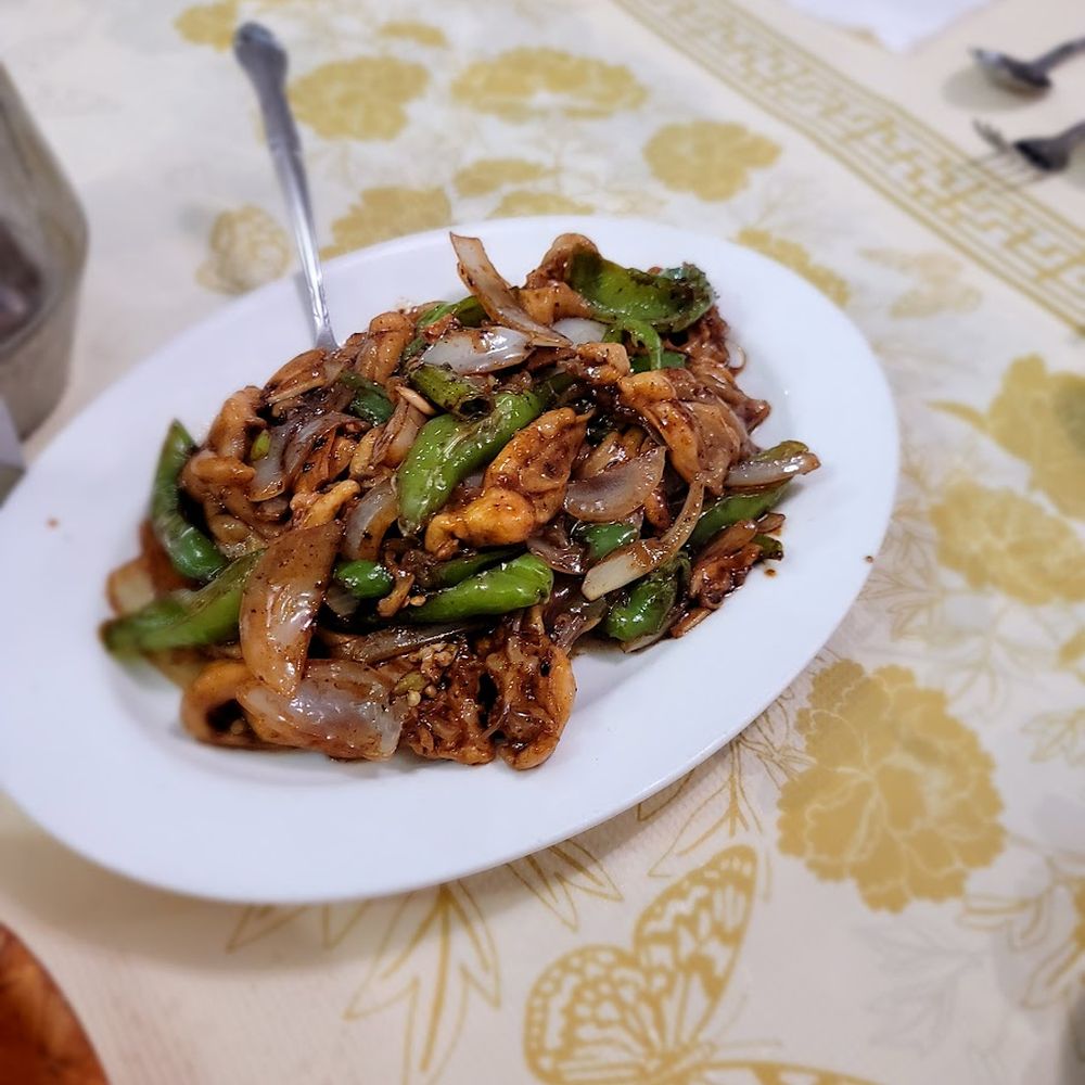 Queens Seafood Restaurant - Stir Fry Squid Head With Greens. They liked it - Seafood Near Me - Elmhurst, New York Queens Seafood Restaurant - Stir Fry Squid Head With Greens. They liked it - Seafood Near Me - Elmhurst, New York