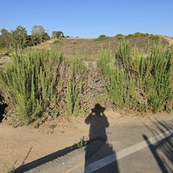 Upper Newport Bay Nature Preserve
