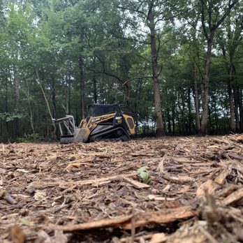 DRT Land Management - Tree Services Near Me