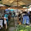 Dala’s Nest House Concerts gift card