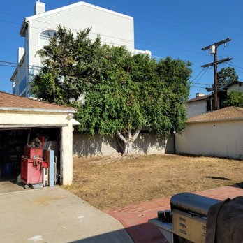 Forever Green Tree Services - Tree Services Near Me Forever Green Tree Services - Tree Services Near Me