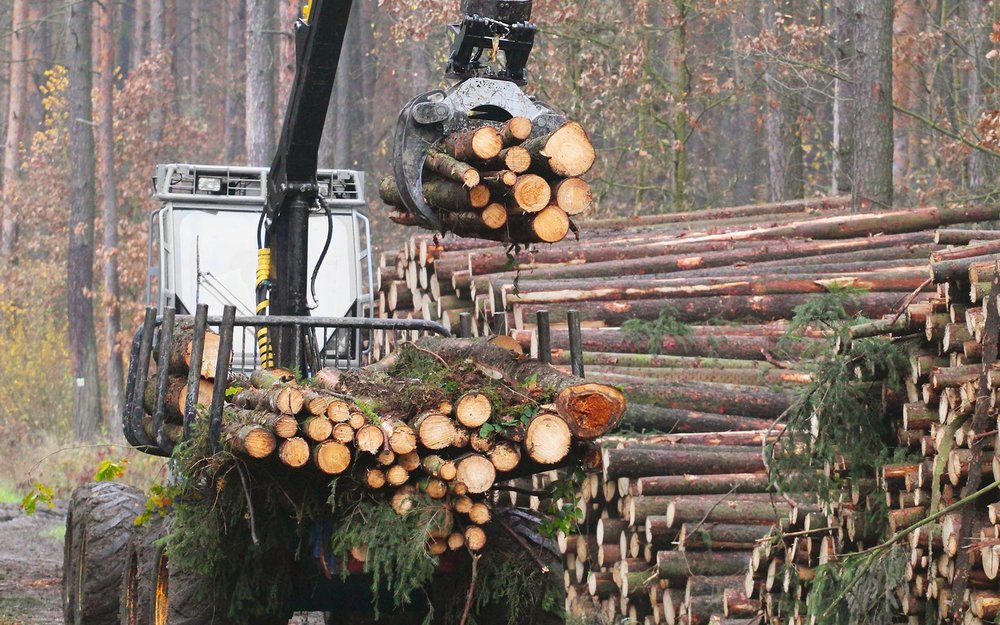 SOAP STONE SAWMILL Updated September 2024 332 Little Britain Church