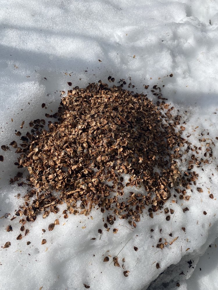 GREEN HILLS PRESERVE / PUDDING POND 252 Thompson Rd, Conway, New