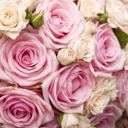 user provided Flower Patch photo