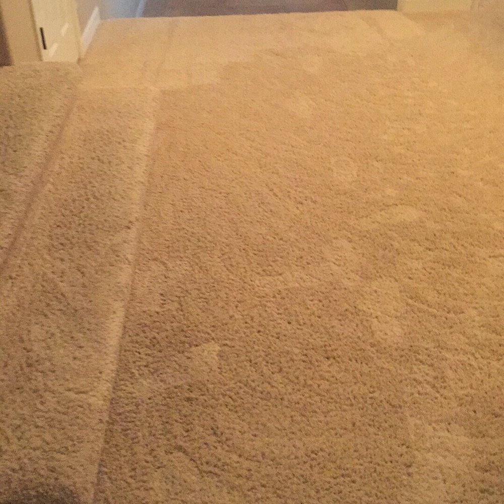 I Clean Carpets - Would you think this carpet is almost 11 years old and we have 3 kids? Rob keeps it looking good with maintenance 2x per year.. - Carpet Cleaning Near Me I Clean Carpets - Would you think this carpet is almost 11 years old and we have 3 kids? Rob keeps it looking good with maintenance 2x per year.. - Carpet Cleaning Near Me