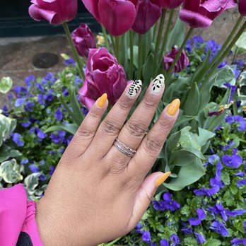 Woo Nails & Eyelash - Nail Salons Near Me - New York, New York