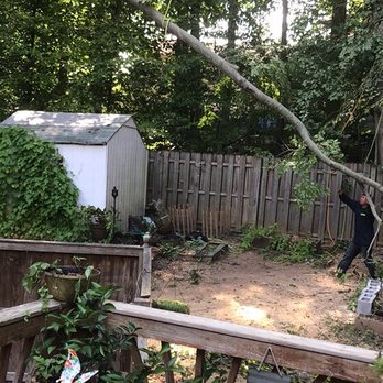 Blue Ridge Tree Experts - Tree Services Near Me