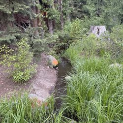 Creek adjacent to campground