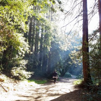 Joaquin Miller Park - Breathtaking sunlight - Parks Near Me - Oakland, California