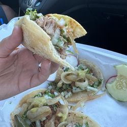 Taqueria Rojas - Carnitas taco