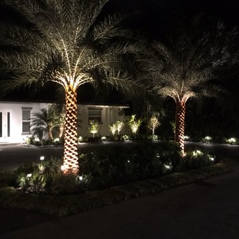 Plantae - Landscape lights - Landscaping Near Me Plantae - Landscape lights - Landscaping Near Me