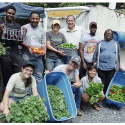 DC UrbanGreens