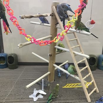 Petco - Birdies! - Pet Stores Near Me - Redmond, Oregon Petco - Birdies! - Pet Stores Near Me - Redmond, Oregon