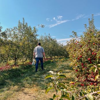 BJ Reece Orchards - Fruits & Veggies Near Me - Ellijay, Georgia