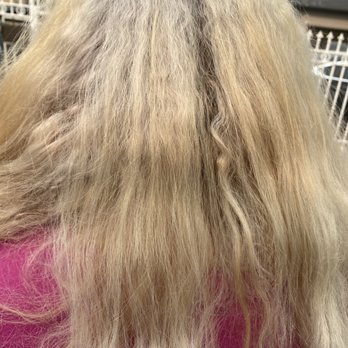 Do or Dye Hair Studio - Blotchy hair by Vanessa and Erika her helper - Hair Salons Near Me - Concord, California Do or Dye Hair Studio - Blotchy hair by Vanessa and Erika her helper - Hair Salons Near Me - Concord, California