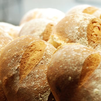 Frank And Albie's - Our bread, hand made on site, every morning - Salad Near Me - Gisborne, AUK Frank And Albie's - Our bread, hand made on site, every morning - Salad Near Me - Gisborne, AUK
