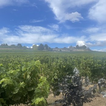 Château La Gaffelière - Wineries Near Me - Saint Emilion, 33