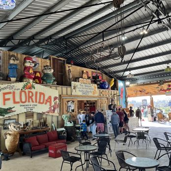 Showcase of Citrus - Attraction Farms Near Me - Clermont, Florida