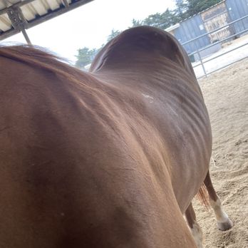 Chaparral Ranch - Horseback Riding Near Me - Marina, California