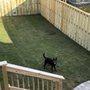 Photo of Champion Fences