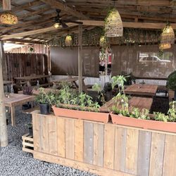 Sunshine’s Farm