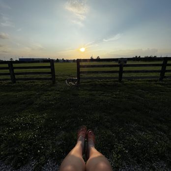 Shillito Park - Perfect spot to watch the sunset - Disc Golf Near Me - Lexington, Kentucky Shillito Park - Perfect spot to watch the sunset - Disc Golf Near Me - Lexington, Kentucky