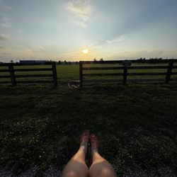 Shillito Park - Perfect spot to watch the sunset