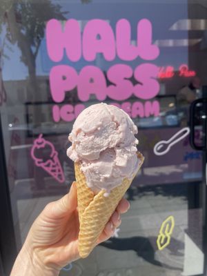 Hall Pass Ice Cream by null