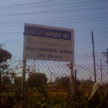Abeja Nursery - Nurseries & Gardening Near Me - Torrance, California